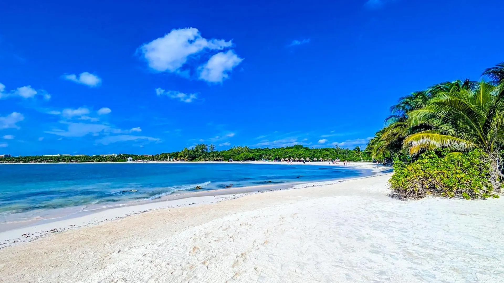 500M To Beach L King Beds Kitchen L Pool Patio Gym Bikes Ac 20405 Playa del Carmen Appartement